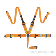 Hohe Qualität 5 Punkte Hans Style Camlock Safety Belts